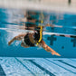 Finis Freestyle-Schnorchel